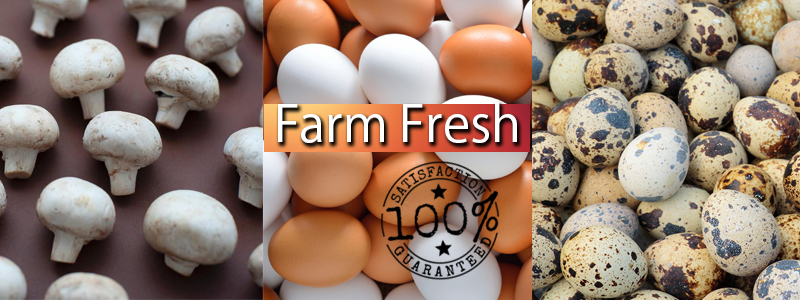 FarmFresh Products